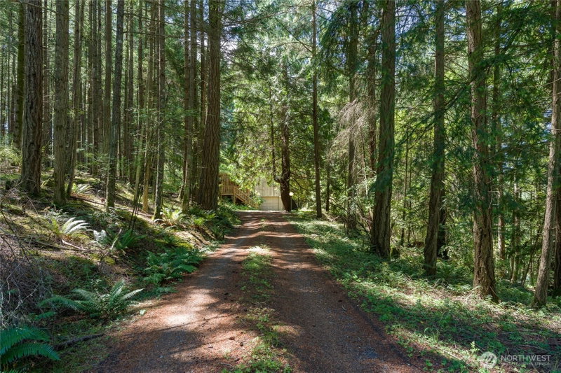 76 Lookout Loop photo 2