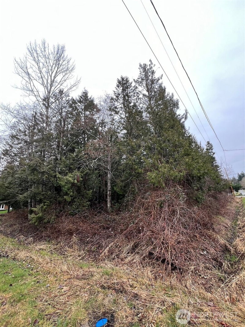 0 Lot 6 Rex Street photo 3