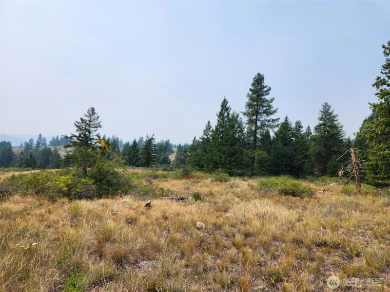 250 Union Ridge Road photo 2