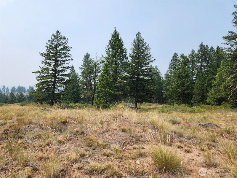 250 Union Ridge Road photo 10