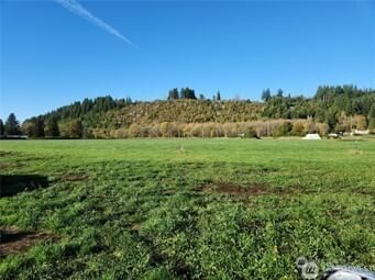 222 W Mossyrock photo 1