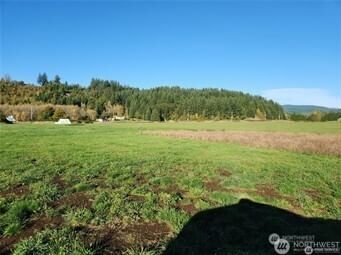 220 W Mossyrock photo 2