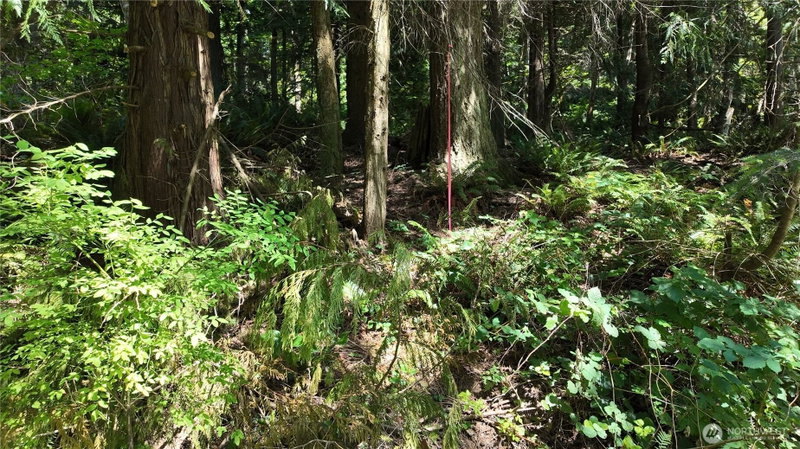 0 Oyster Creek Lane photo 37