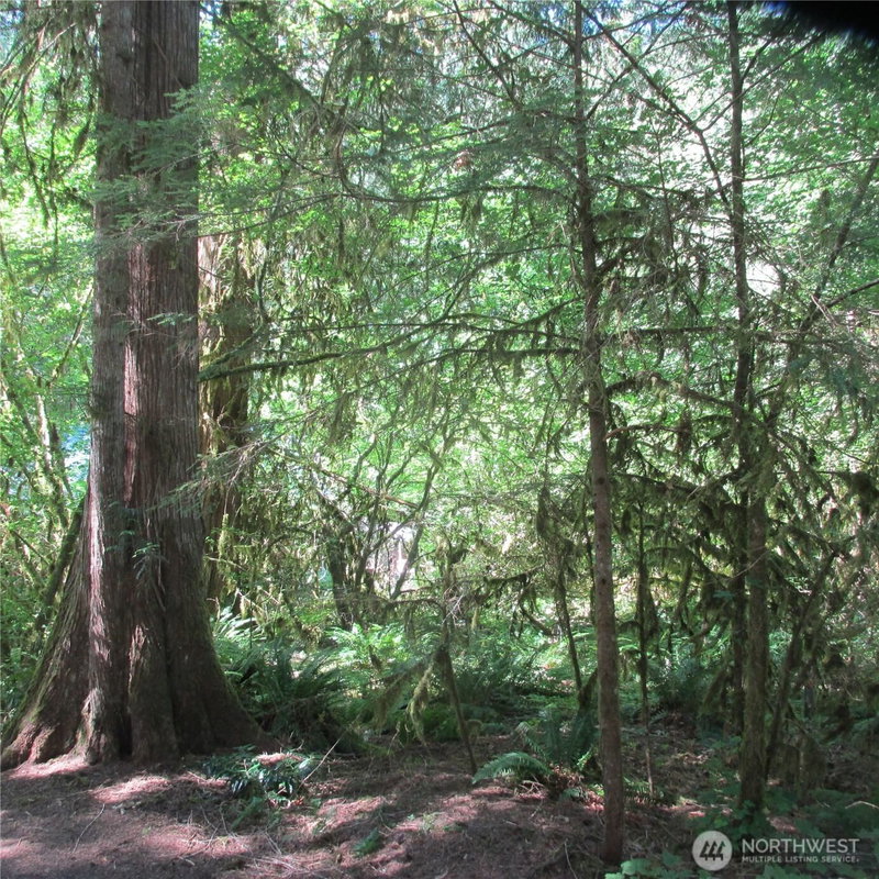 10337 Glacier Rim Drive photo 5