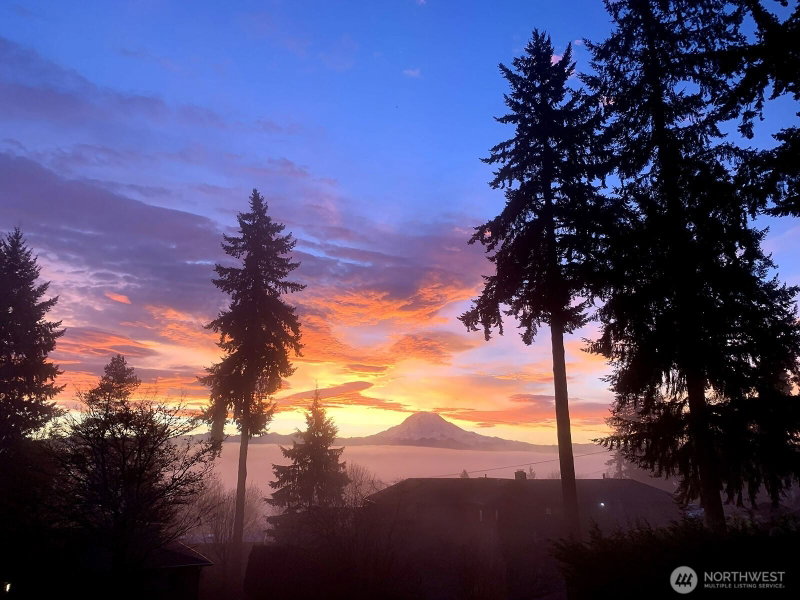 13807 Military Road E photo 2