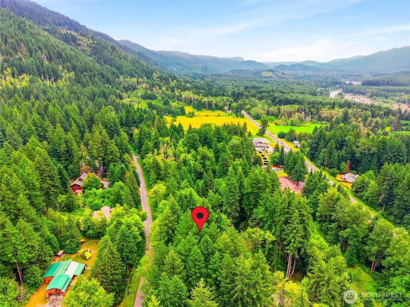 31418 Mount Tahoma Canyon Road E photo 2