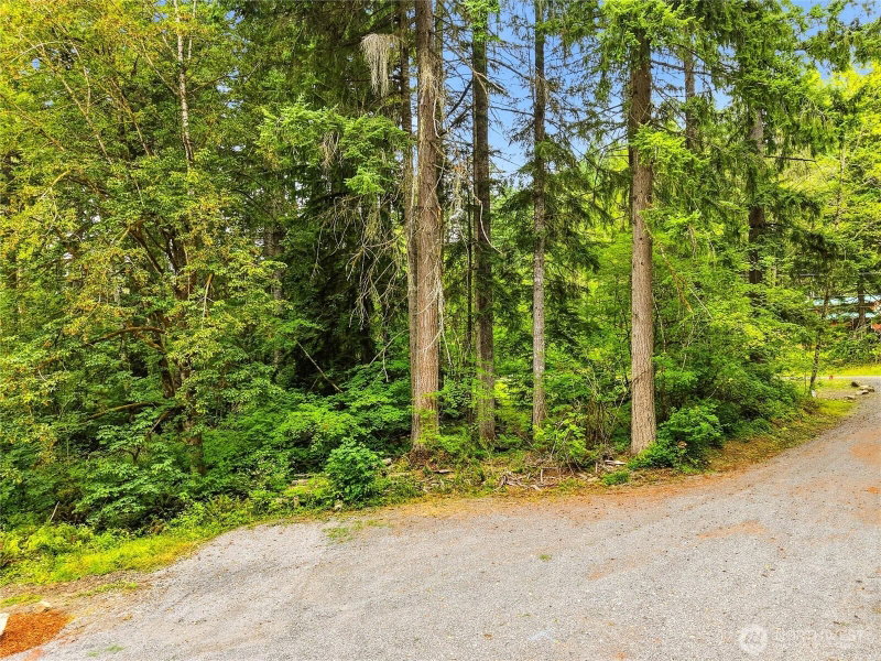 31418 Mount Tahoma Canyon Road E photo 22