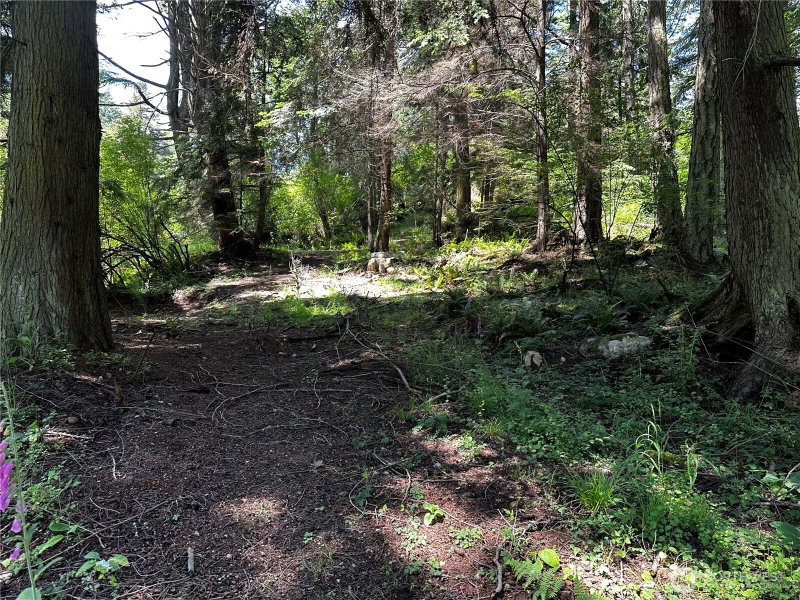 808 Roehl's Hill Rd. Road photo 10