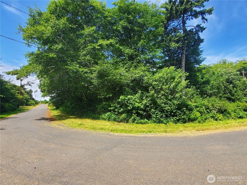 0 Woodland Lane photo 6