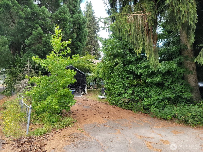 1325 23rd Avenue SW photo 15