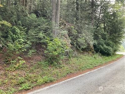 87426 NE Old Cascade Highway photo 2