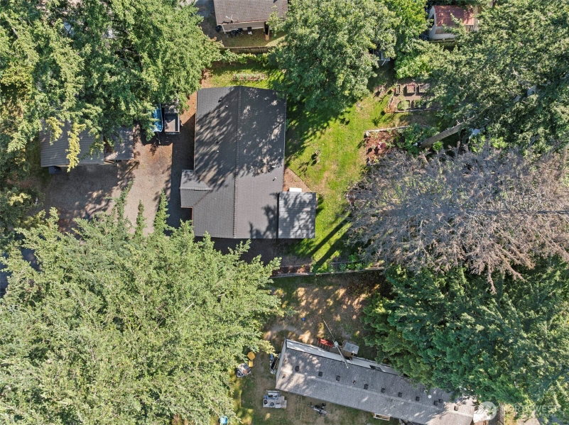 44303 Pine Road photo 33