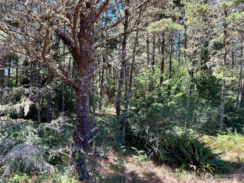 4009 J Lane photo 2