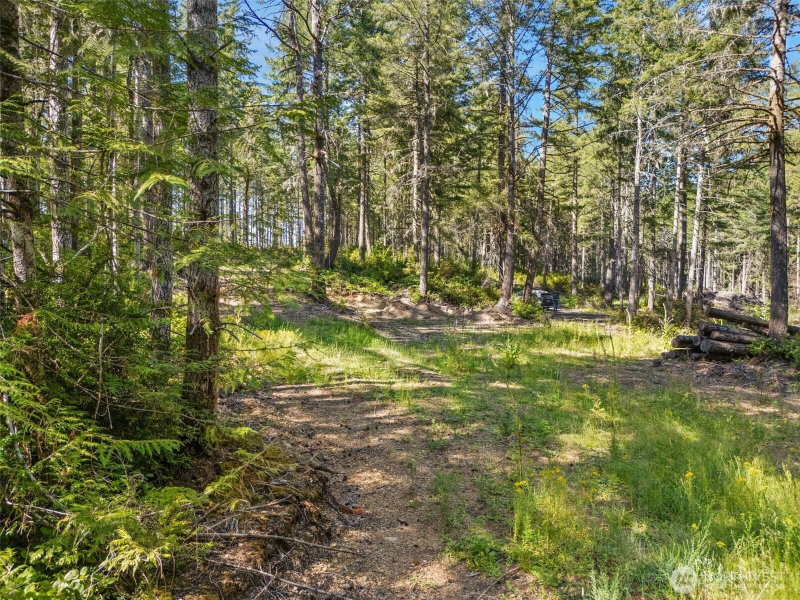 0 TR4 E Mason Lake Road photo 1