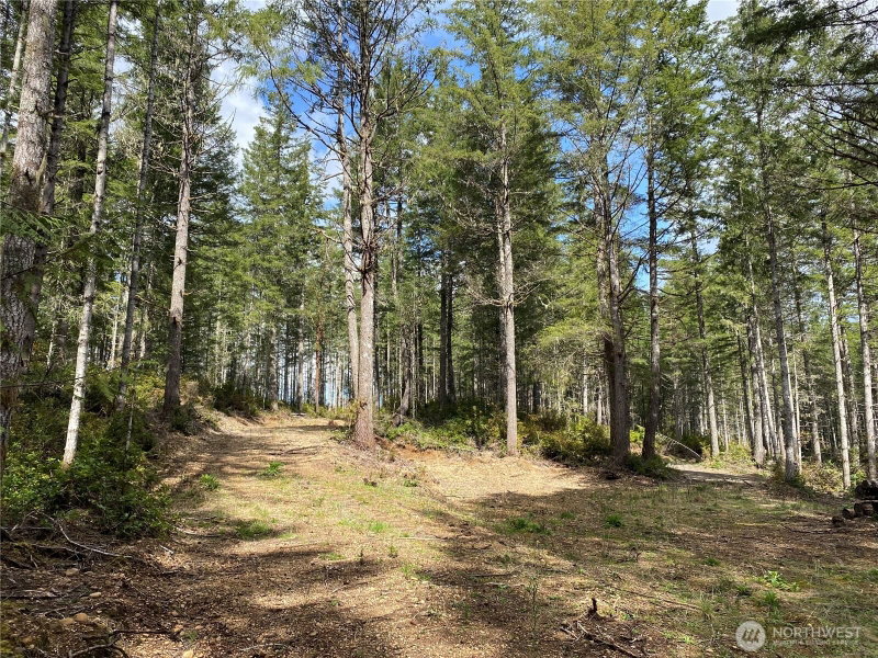 0 TR4 E Mason Lake Road photo 10