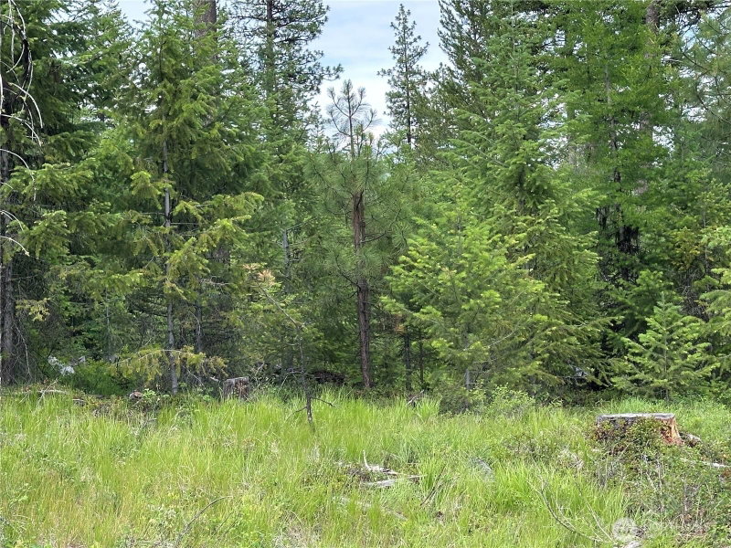 3600 Lot C Sheridan photo 7
