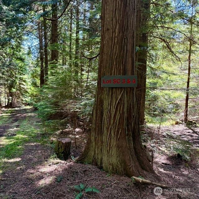 4 Lot Fauntleroy Point Rd photo 2