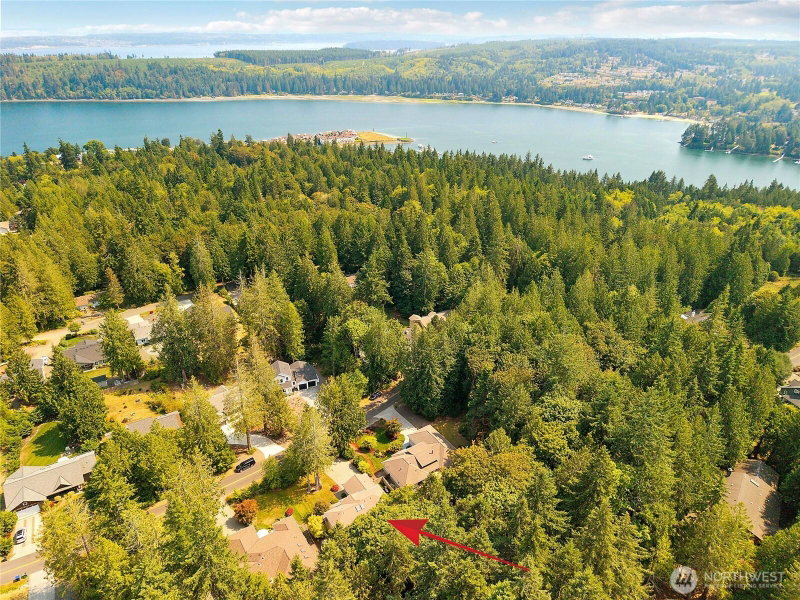 442 Rainier Lane photo 40