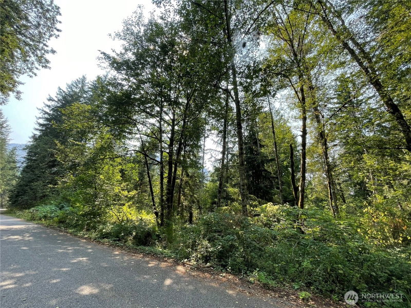 7521 Olsen Drive photo 2