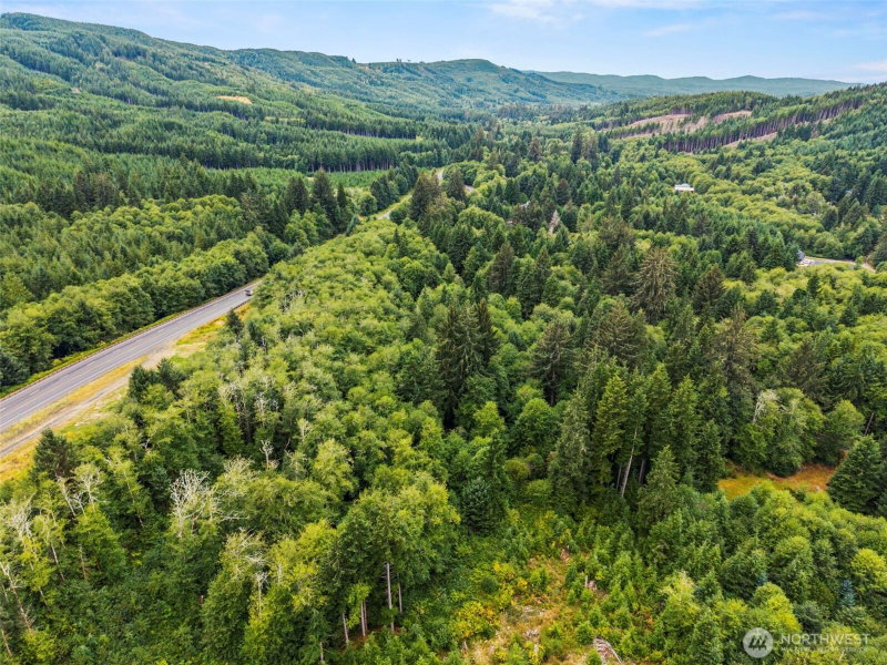 80 Salmon Creek Road photo 17