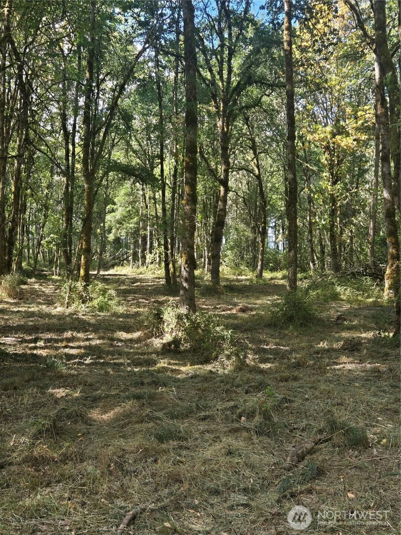 144 Dowling Road photo 2