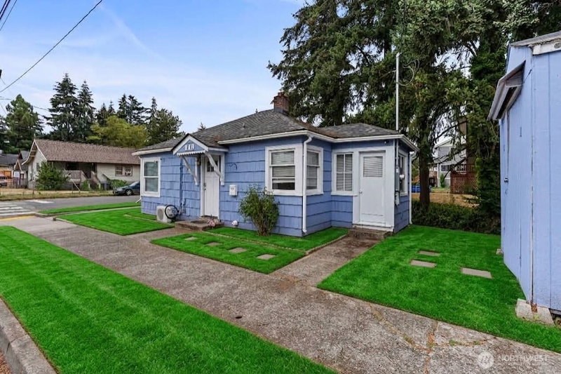 419 Yew photo 2