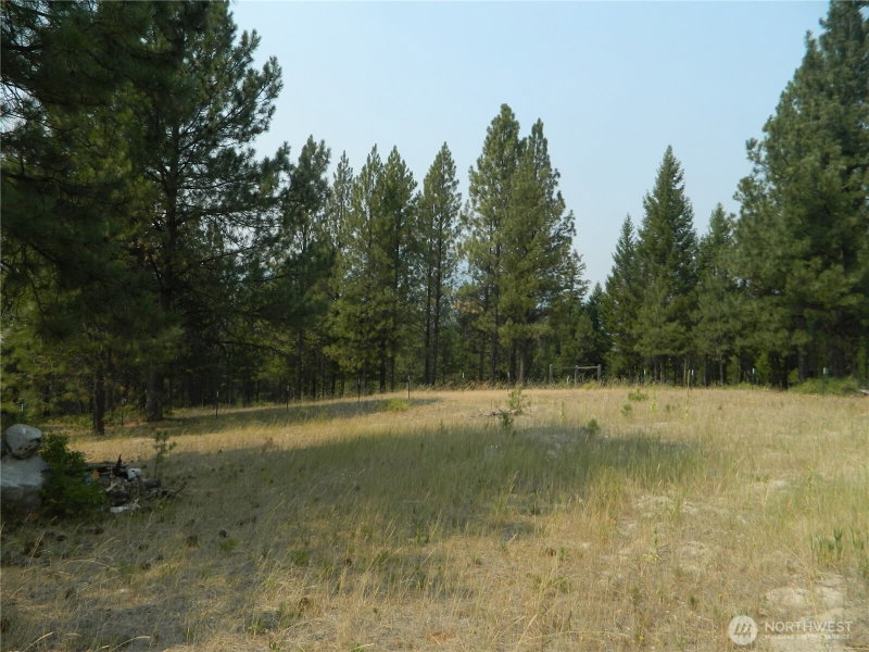 96 Horn Ranch Road photo 32