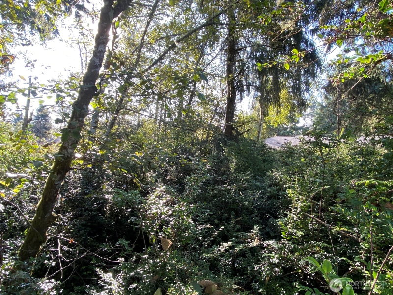 364 Duck Lake Drive SE photo 2