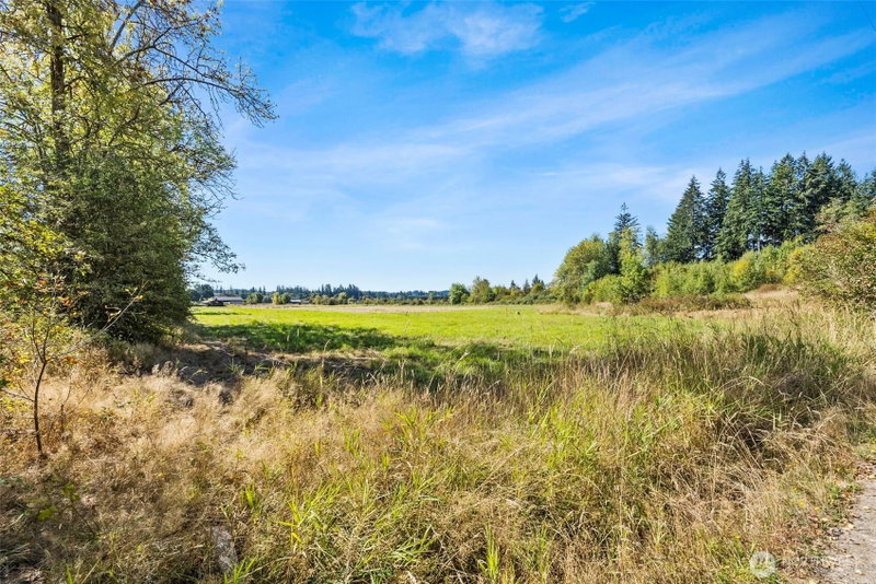 137 Taylor Road photo 24