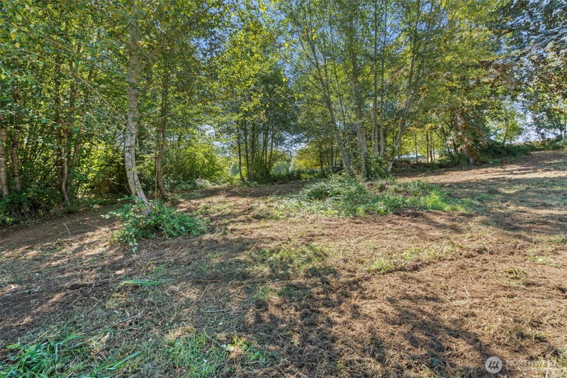 149 Breezy Lane photo 26