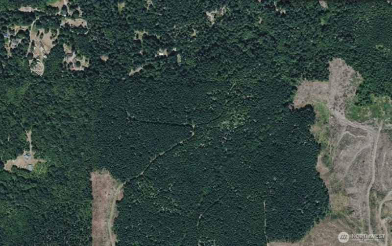 213 Retreat Lane photo 4