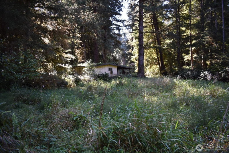 83 N Williams Creek Rd. photo 10