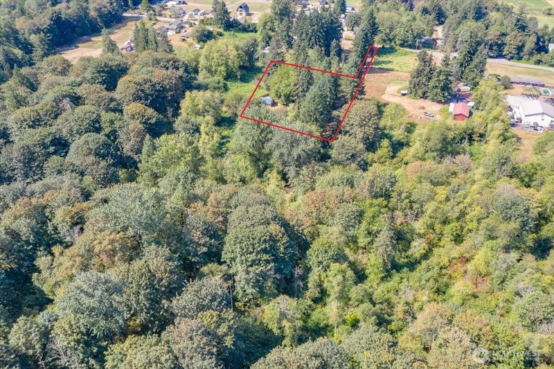 12521 Roosevelt Road photo 39