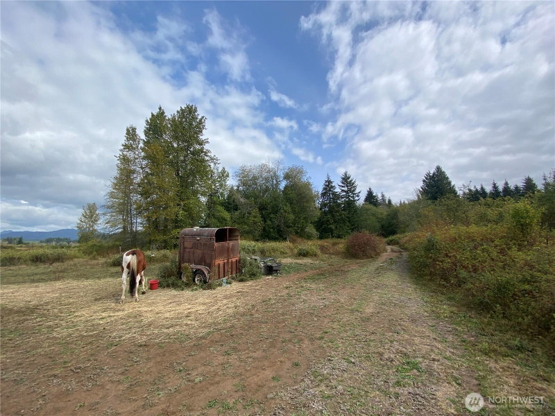 433 W Lucas Lane photo 2