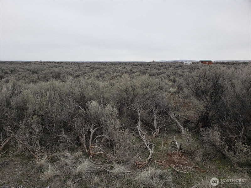 0 Lot 15 Diamondback Drive photo 1