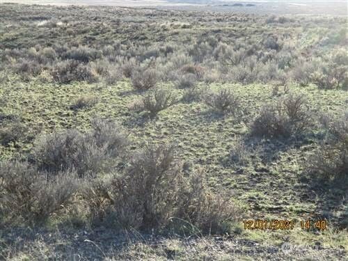 0 Lot 15 Diamondback Drive photo 10
