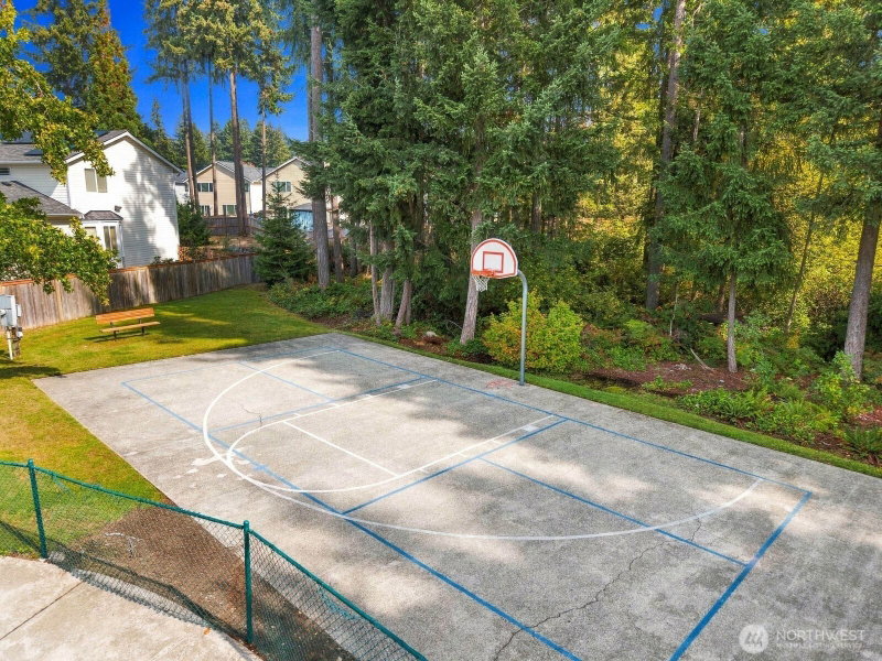 17109 117th Avenue Court E photo 40