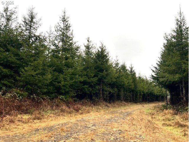 Listing photo 4 of 34, 76781 PALM HILL RD, Clatskanie, OR, 97016
