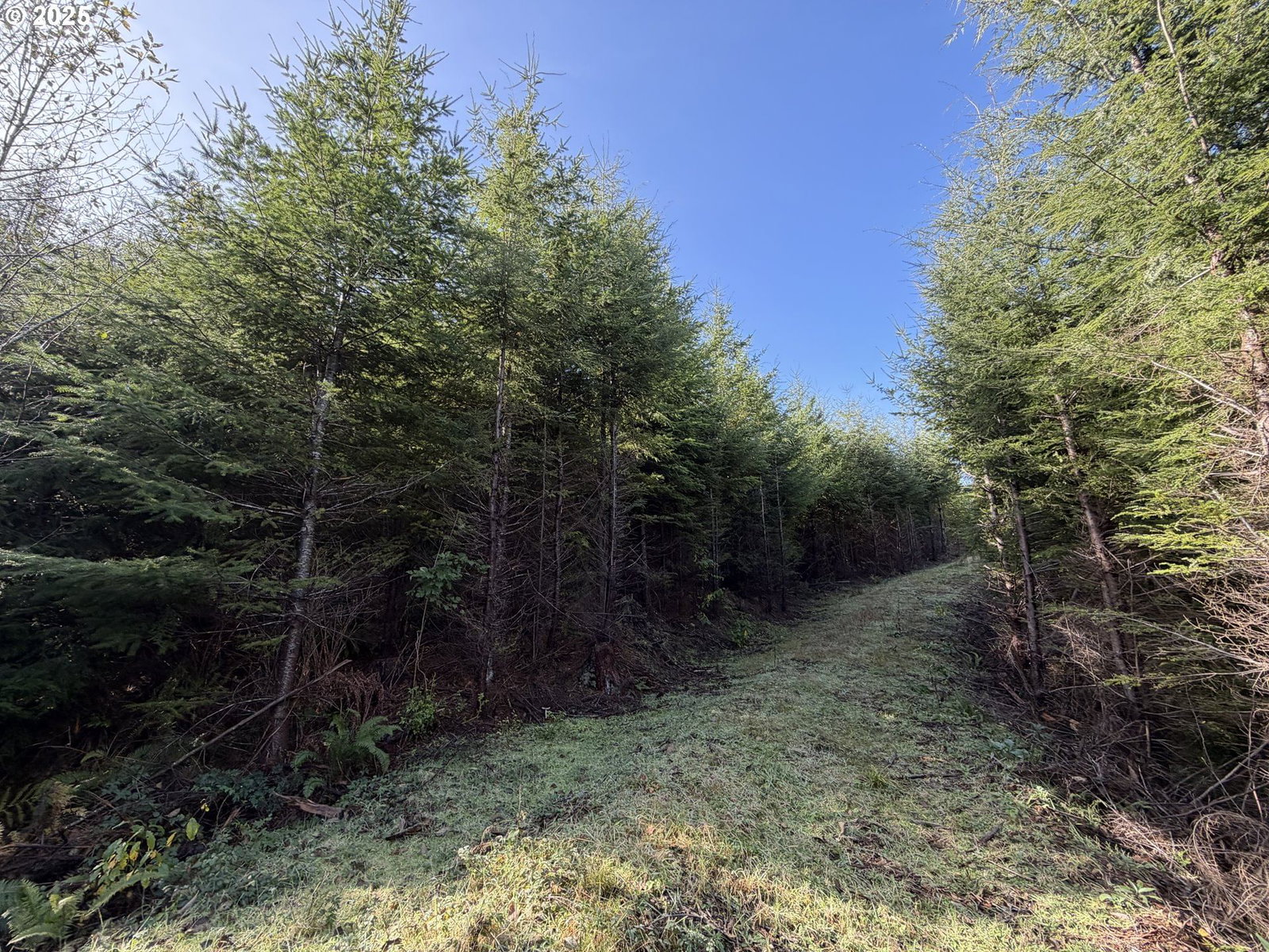 Listing photo 4 of 6, 0 Necanicum HWY, Seaside, OR, 97138