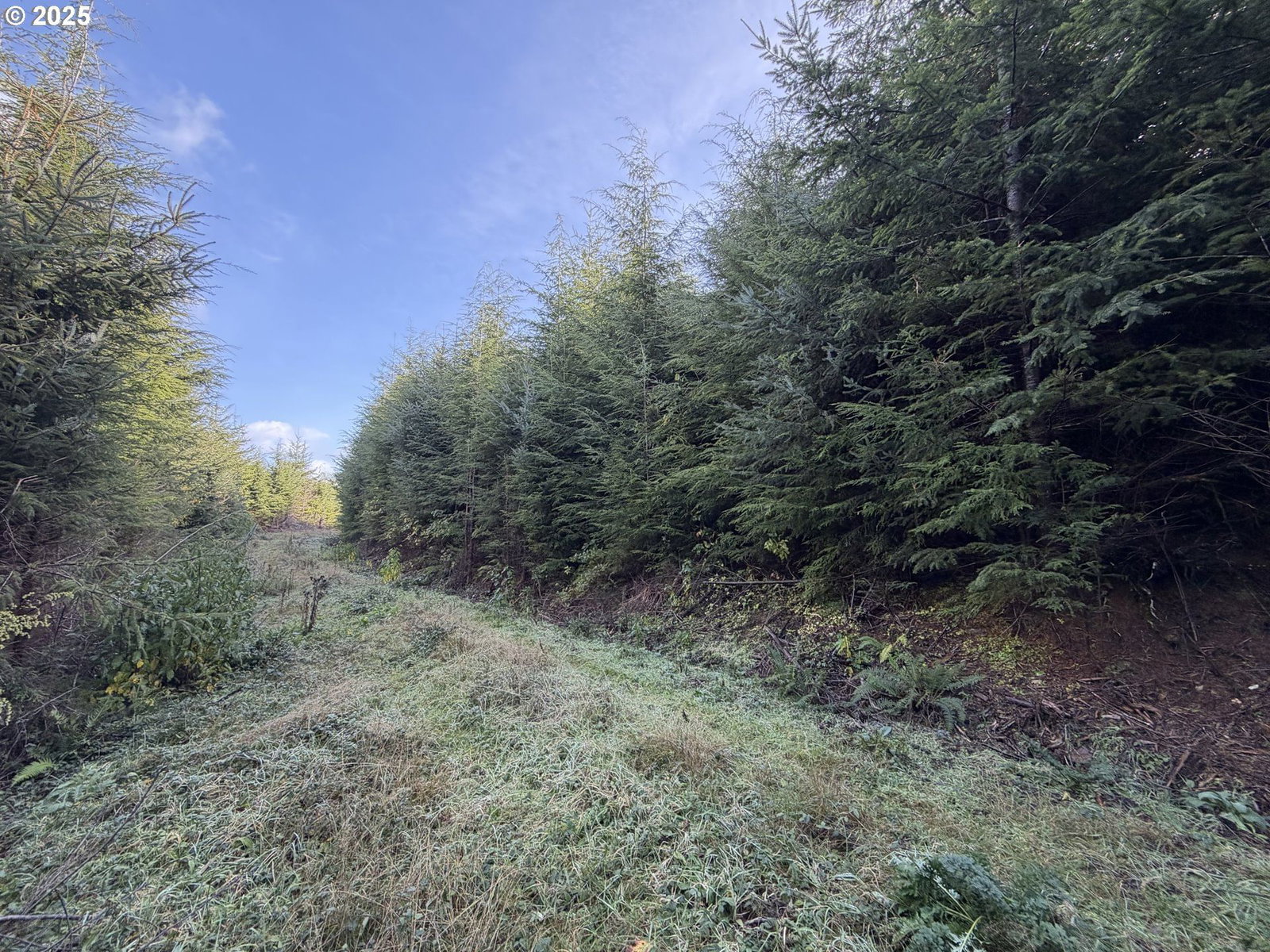 Listing photo 5 of 6, 0 Necanicum HWY, Seaside, OR, 97138