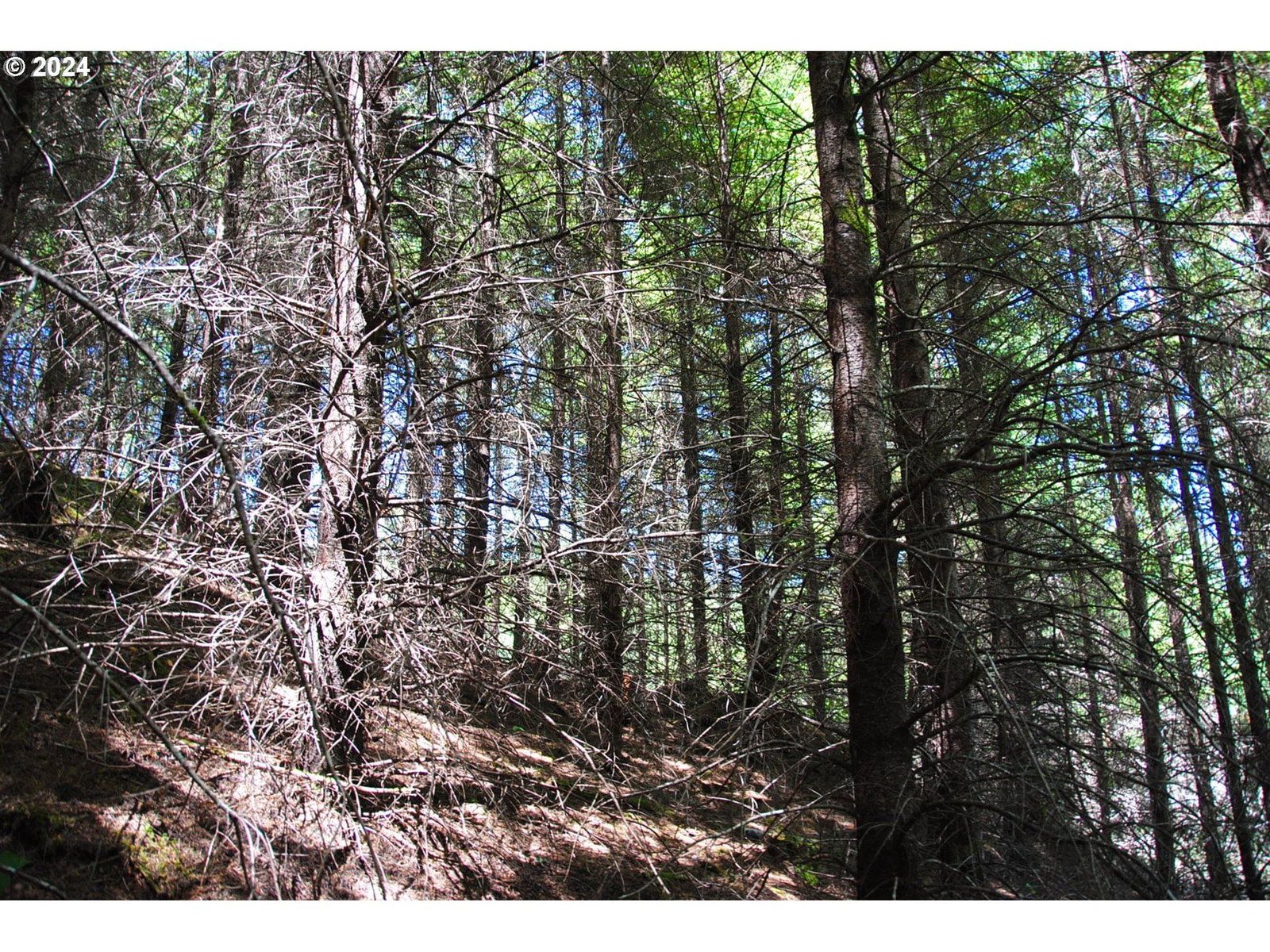 Listing photo 4 of 7, 000 Kings Valley HWY, Monmouth, OR, 97361