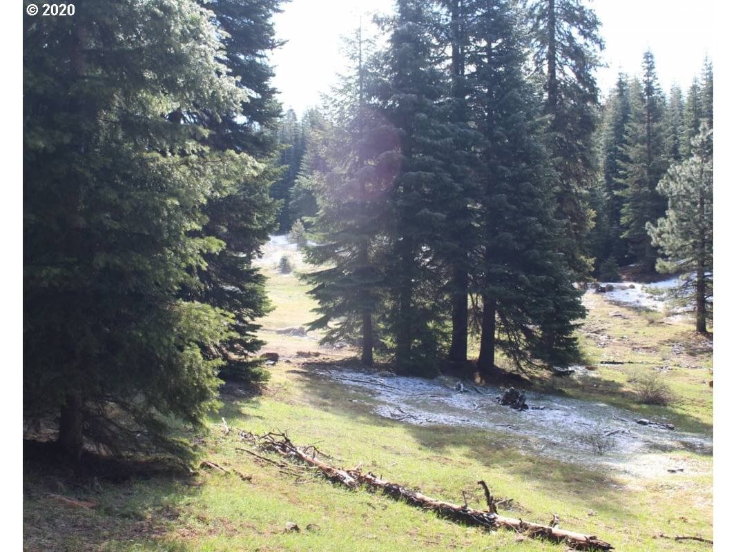 Listing photo 4 of 11, Keno Access RD, Klamath Falls, OR, 97601