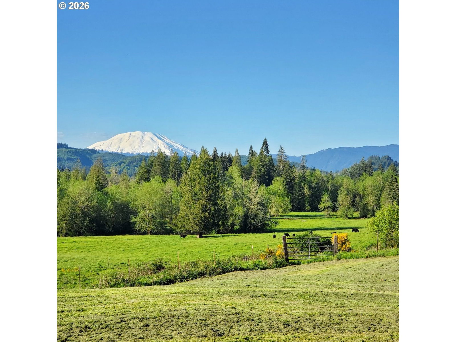 Listing photo 4 of 48, 39827 NE GERBER MCKEE RD, Amboy, WA, 98601