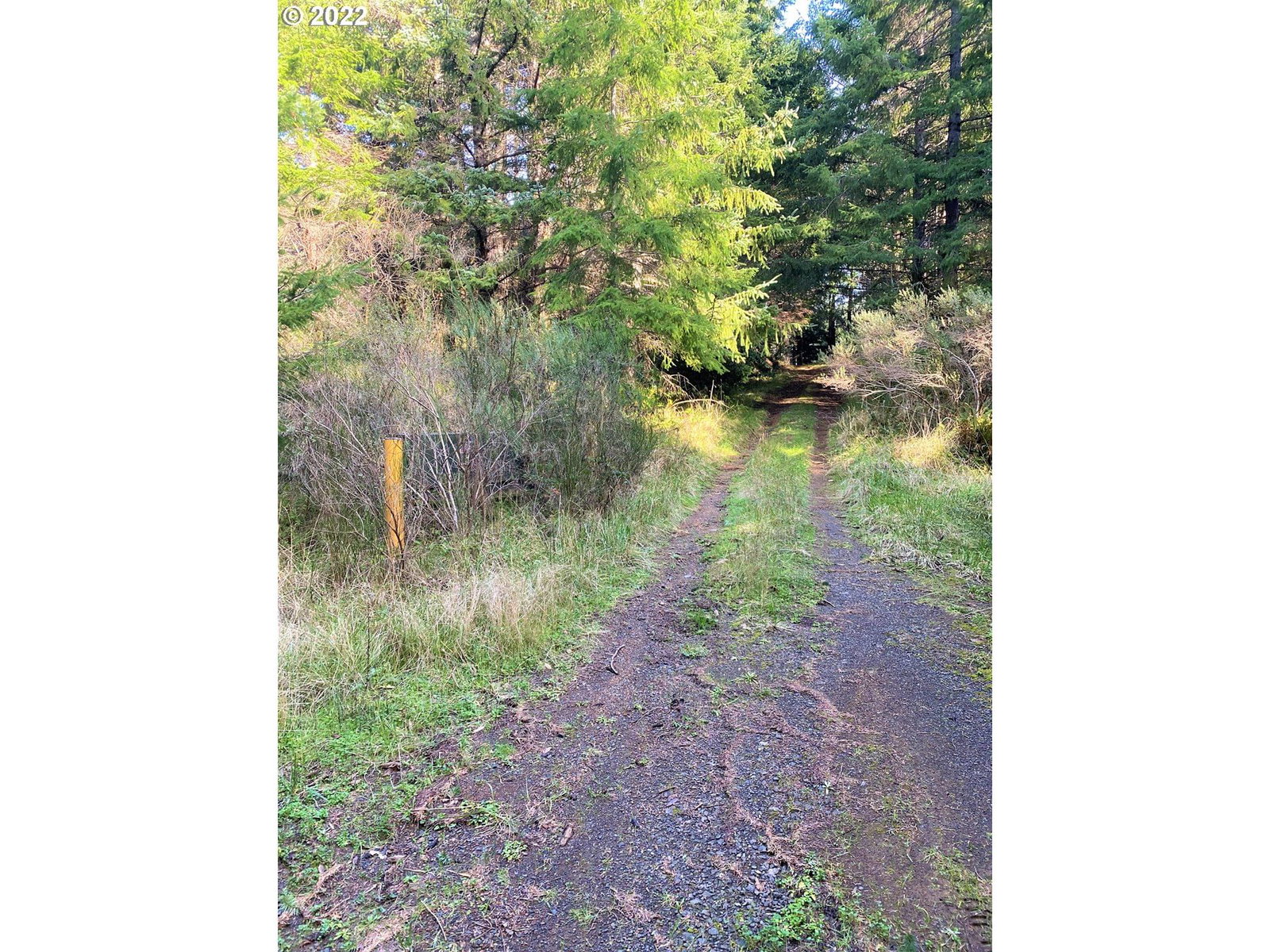 Listing photo 5 of 33, Mill Stream RD, Gold Beach, OR, 97444