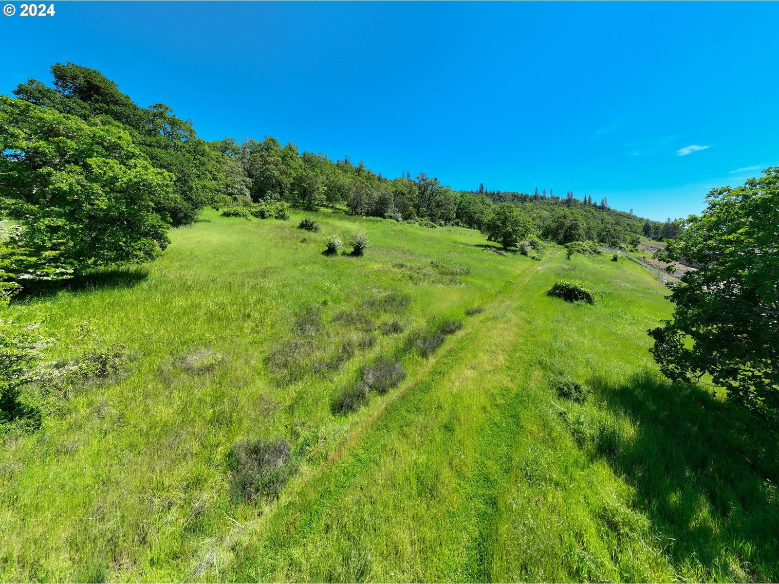 Listing photo 4 of 17, 0 NE KENNETH FORD DR, Roseburg, OR, 97470