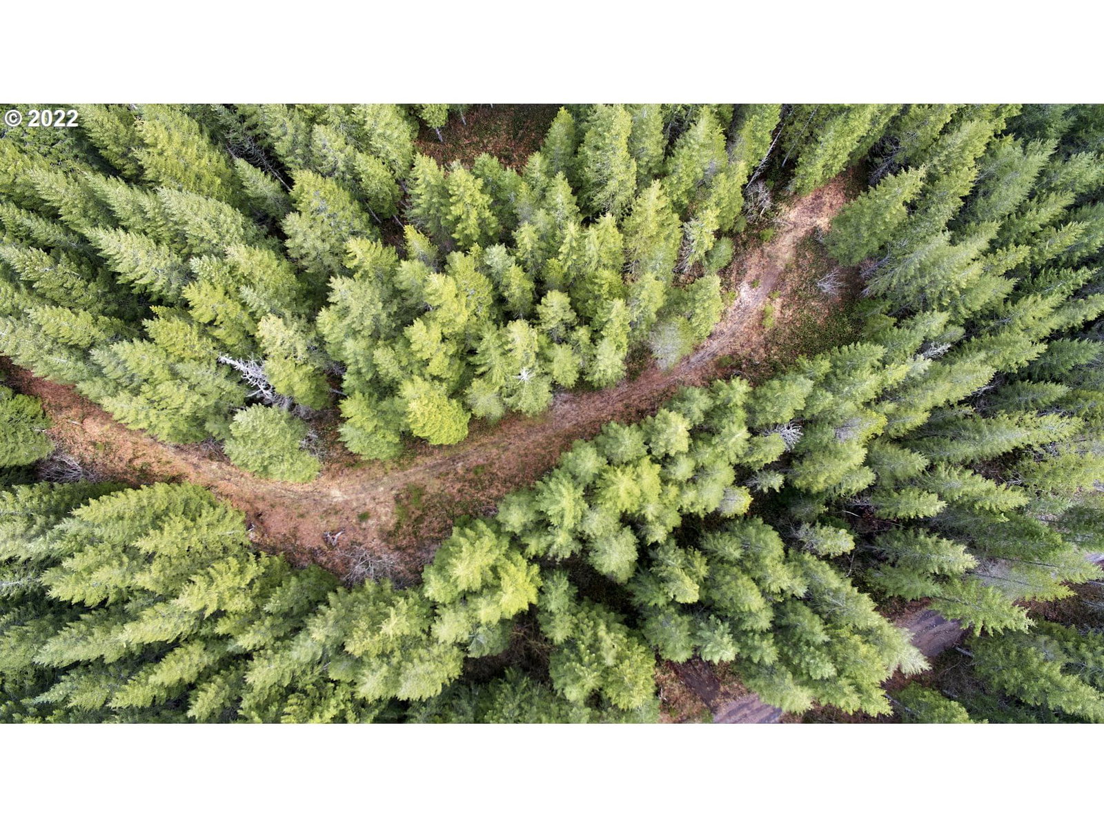 Listing photo 4 of 22, 3 Lahar LN, Cougar, WA, 98616