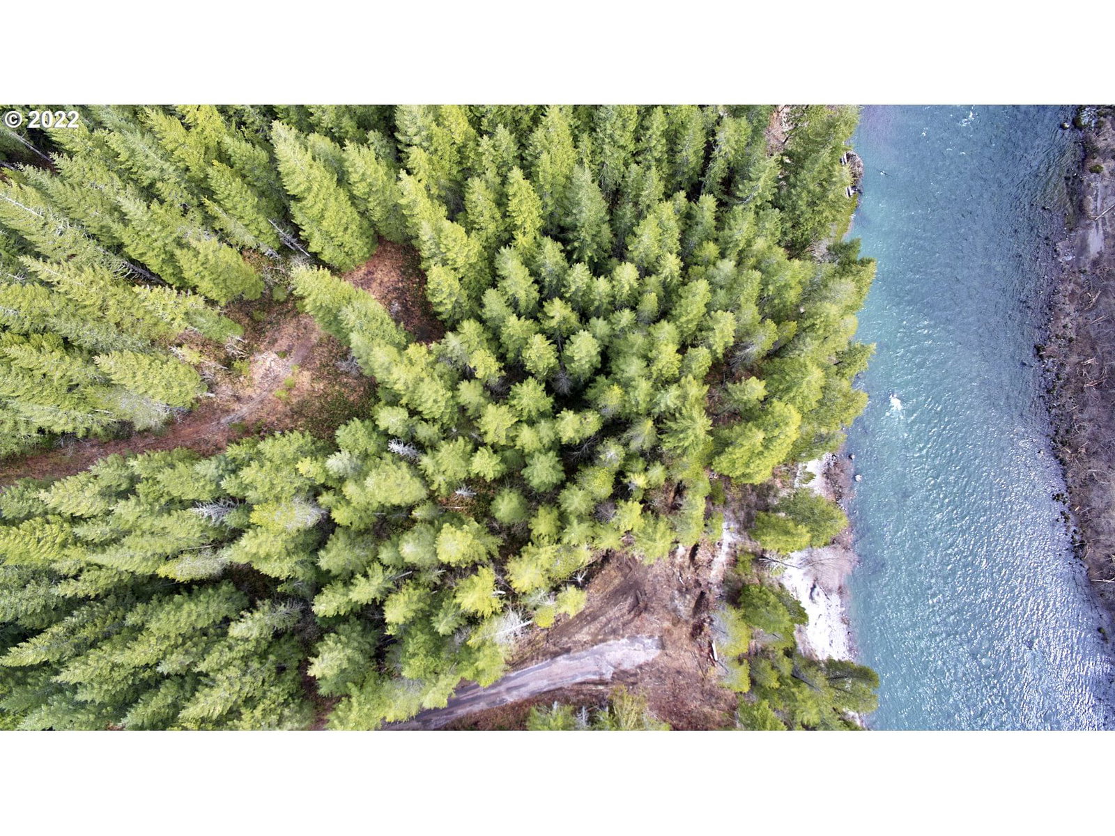 Listing photo 5 of 22, 3 Lahar LN, Cougar, WA, 98616