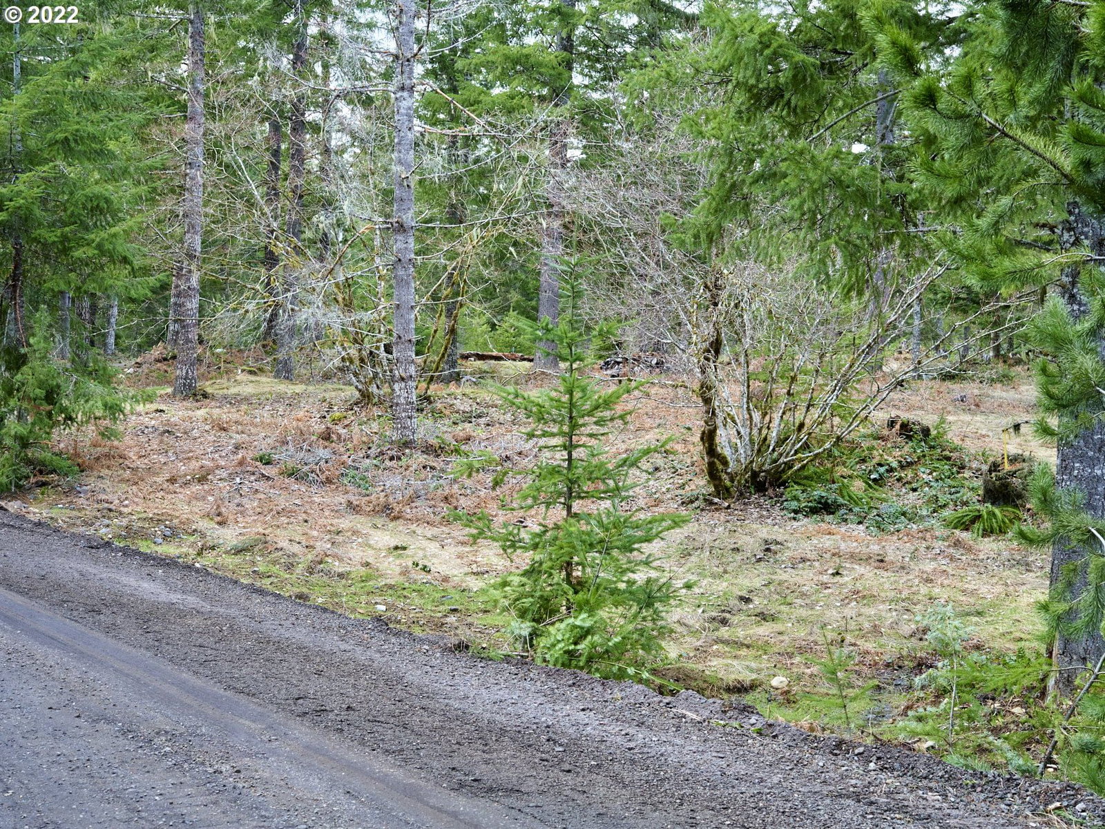Listing photo 4 of 12, 4 Loowit LN, Cougar, WA, 98616