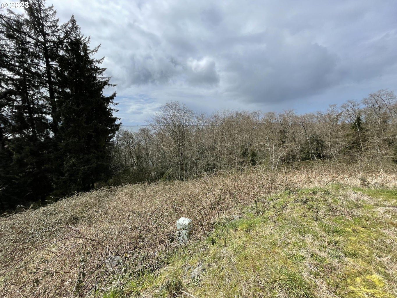 Listing photo 5 of 6, Lot 21 North Ridge DR, Bay City, OR, 97107