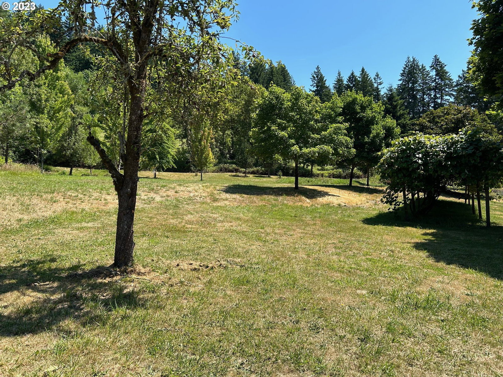 Listing photo 5 of 17, 16400 SE HIGHWAY 224, Damascus, OR, 97089